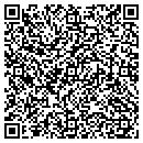 QR code with Print N Stitch LLC contacts