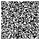 QR code with Professional Recovery contacts