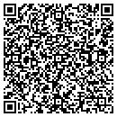 QR code with Print One Solutions contacts