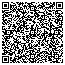 QR code with Premier Images Inc contacts