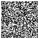 QR code with Pwsa Michigan contacts