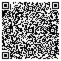 QR code with Tilt contacts