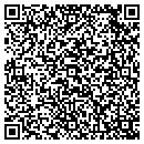 QR code with Costlow Edward P MD contacts