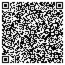 QR code with Cypen & Cypen Tower contacts