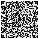 QR code with Covington Playground contacts