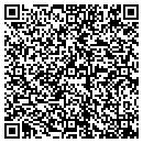 QR code with Psj Nursing Assoc Corp contacts