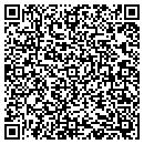 QR code with Pt Usa LLC contacts
