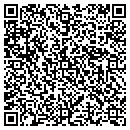 QR code with Choi Kim & Park Llp contacts