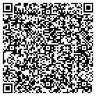 QR code with Public Strategy Assoc contacts