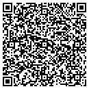 QR code with Blue Sky Aerials contacts