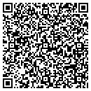 QR code with Purvis Credit Inc contacts