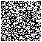 QR code with Publishing Systems Inc contacts