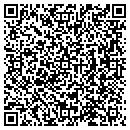 QR code with Pyramid Point contacts