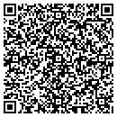 QR code with Pro Film Archiving contacts