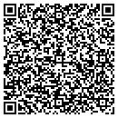QR code with Cynthia M Stegman contacts