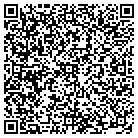 QR code with Pulse Staging & Events Inc contacts