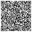 QR code with Bricelyn City Garage contacts