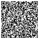 QR code with Press N Print contacts