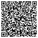 QR code with V-Worx contacts