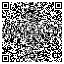 QR code with Csv Financial Inc contacts