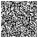 QR code with Puxico 1 Inc contacts
