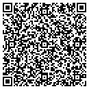 QR code with Printing Special T's contacts