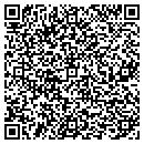 QR code with Chapman Village Hall contacts