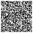 QR code with Cyclone Restoration contacts
