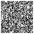 QR code with Public Art Program contacts