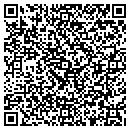 QR code with Practical Deceptions contacts