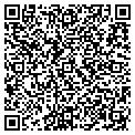 QR code with Splice contacts