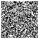 QR code with Profit Builders Inc contacts