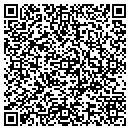 QR code with Pulse One Financial contacts