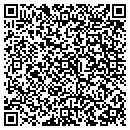 QR code with Premier Motorsports contacts