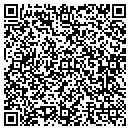 QR code with Premium Programmers contacts