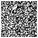 QR code with Ps Log Furniture LLC contacts