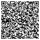 QR code with Public Records contacts