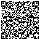 QR code with Proven Systems Corp contacts