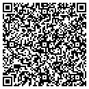 QR code with Pulse Productions contacts