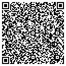 QR code with Print Mailing Service contacts