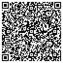 QR code with Ptg Fl contacts
