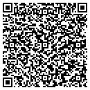 QR code with Psyche Productions contacts