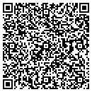 QR code with Precious Art contacts