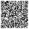 QR code with Visual Systems Inc contacts