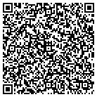 QR code with Pulse Communication Inc contacts