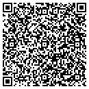 QR code with Pp Productions LLC contacts