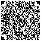 QR code with Pulmonary Associates Pc contacts