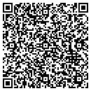 QR code with Cipsodus Productions contacts