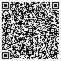 QR code with T Doc contacts