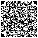 QR code with Chesaning Twp Hall contacts